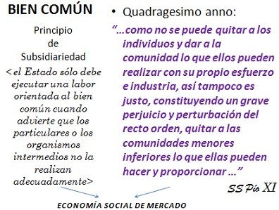 Principio de Subsidiariedad y función del Estado