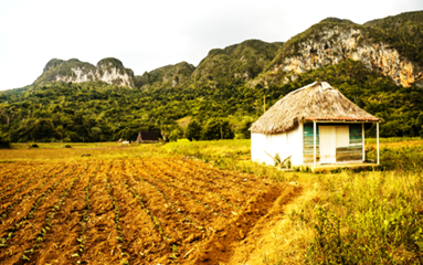 Campo dilapidado en Cuba