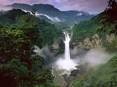 EcuadorParqueNacionalYasuni